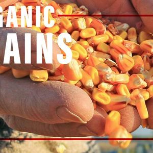 Wholesome Grains 1kg